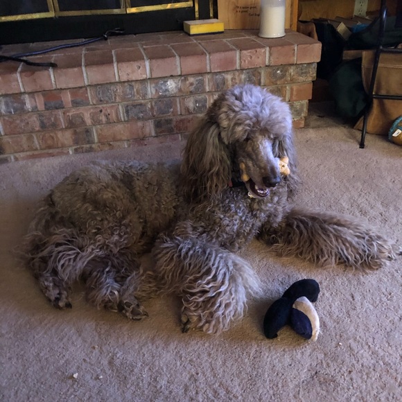 Help  my Mom pay for my broken leg! - Picture 8 of 13